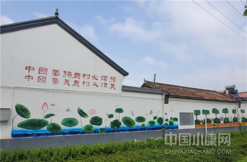 潍坊玫瑰种植基地,玫瑰种植基地风景