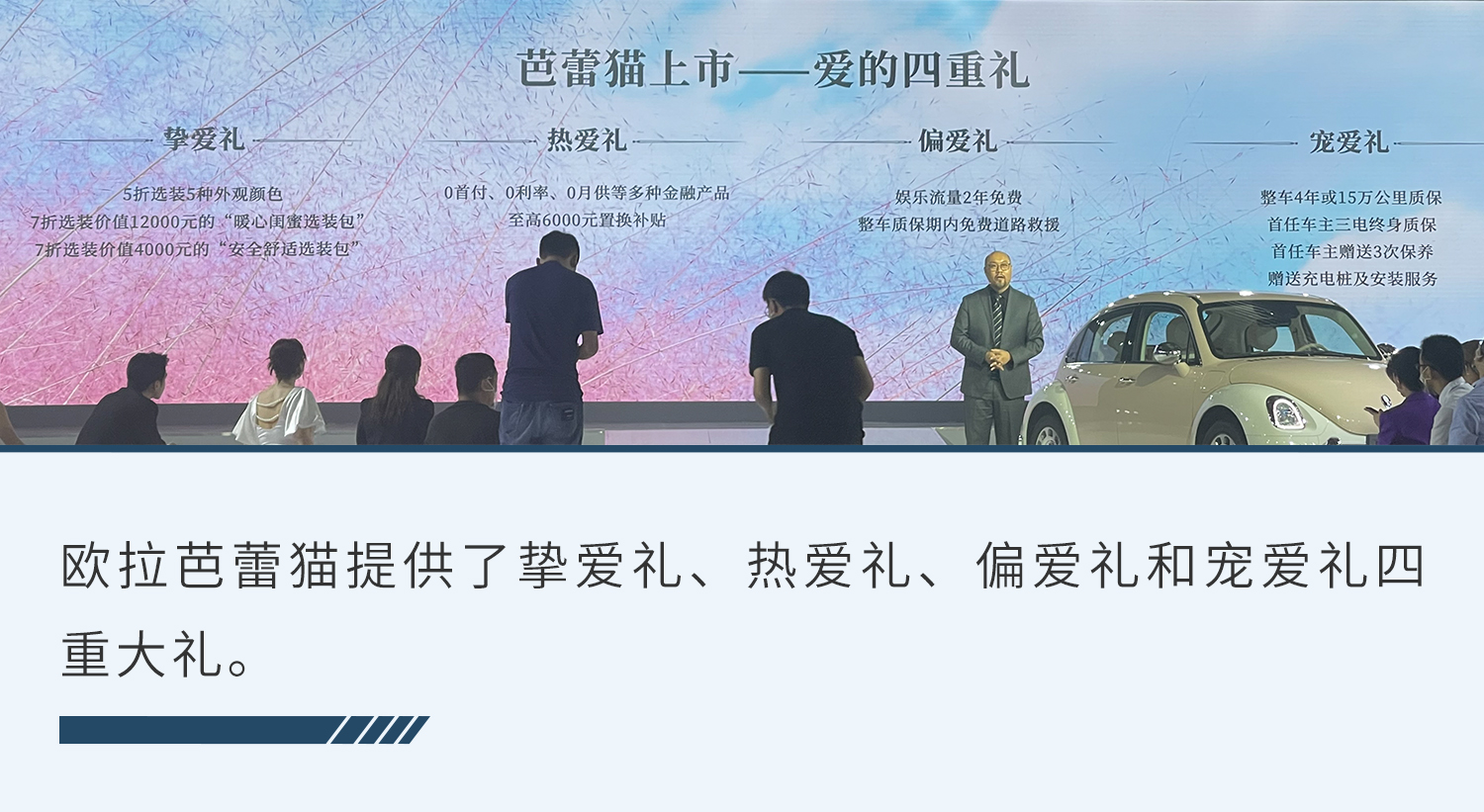 欧拉芭蕾猫是否值得买为什么呢,欧拉芭蕾猫任性宠粉