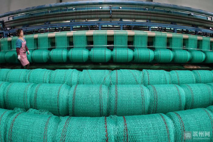 无棣伟达网具厂 (无棣伟达网具厂地址)