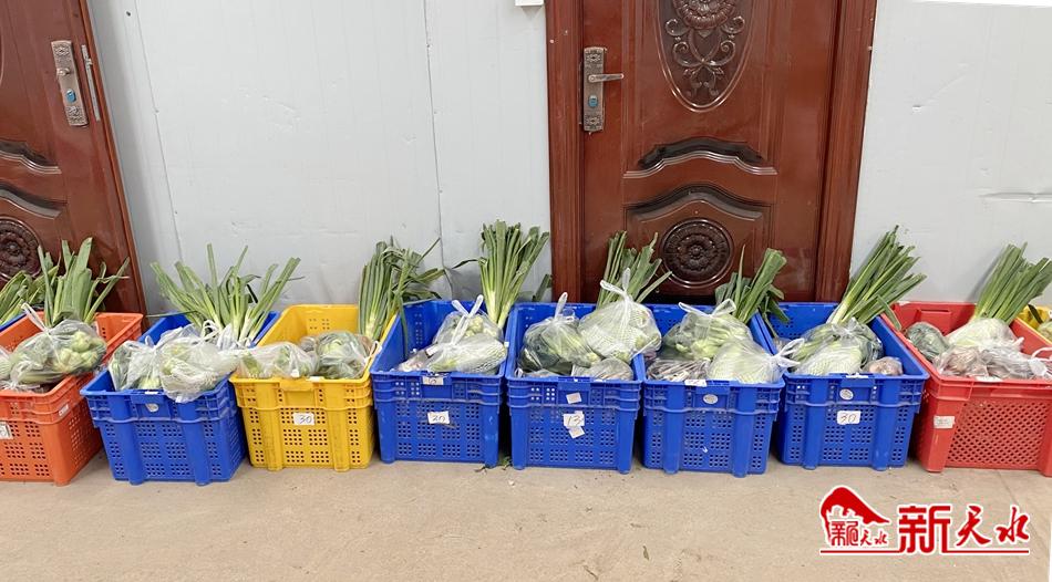 线上下单同城配送,线上同城生鲜蔬菜配送怎么做