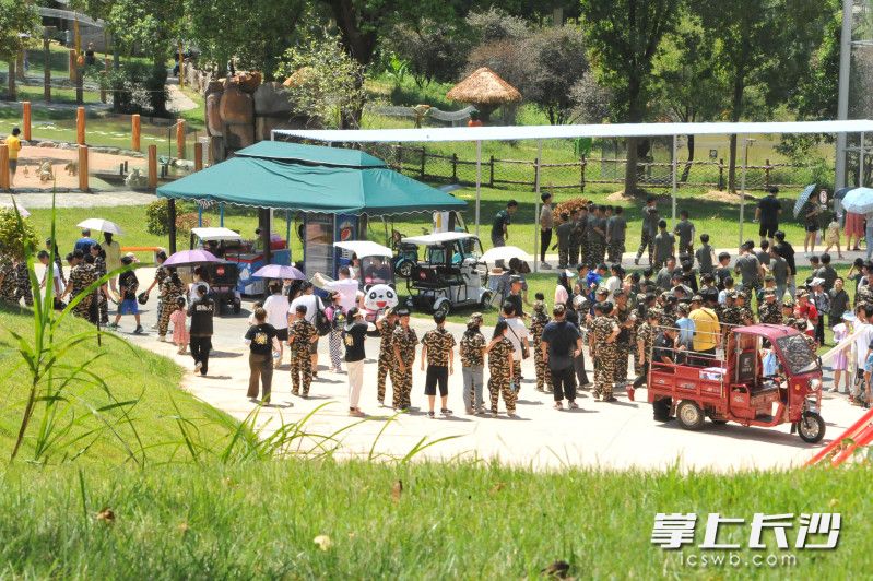 与袋鼠握手，与狮子共餐……长沙又添网红打卡点