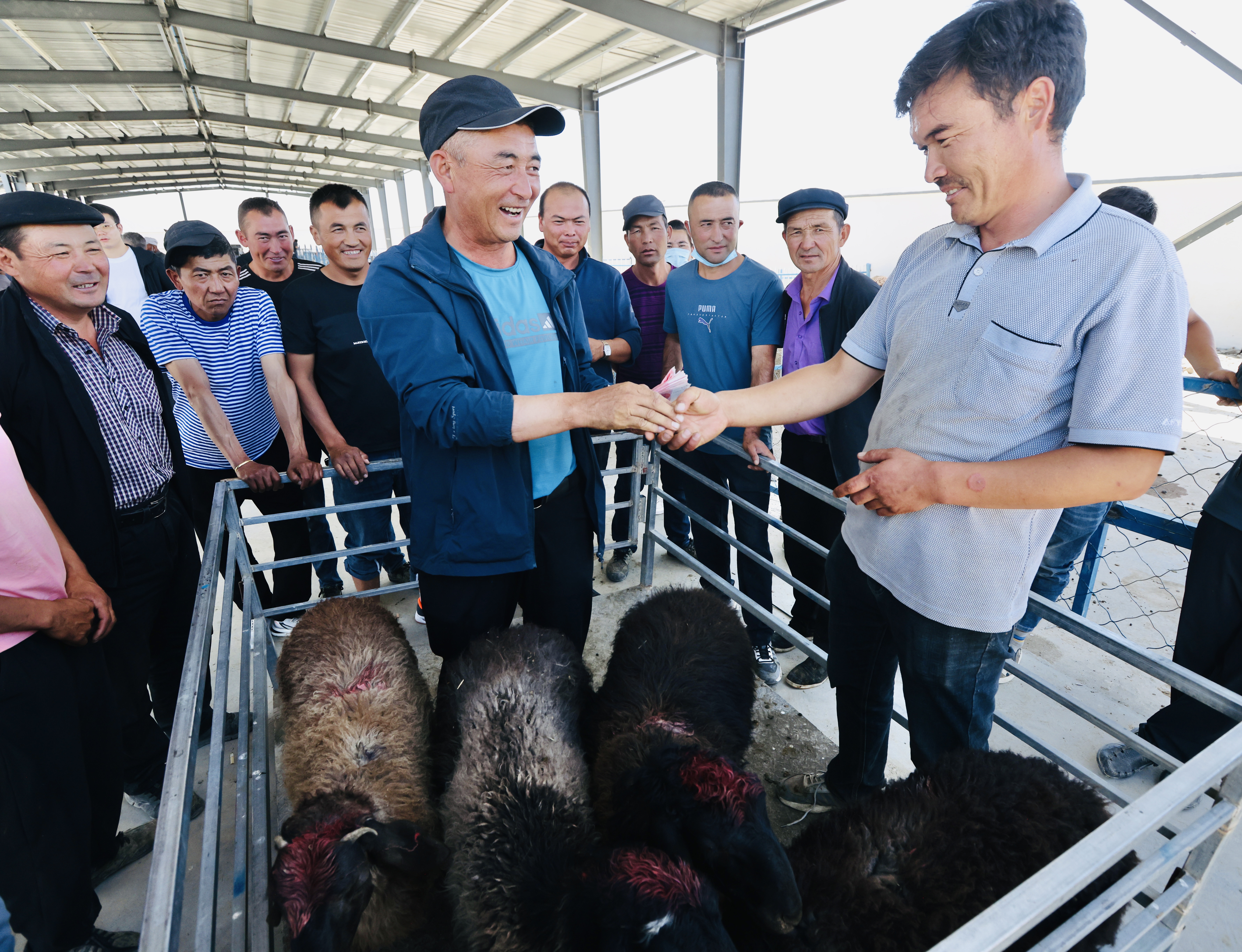 乡村变美了,乡村更美丽农民更幸福