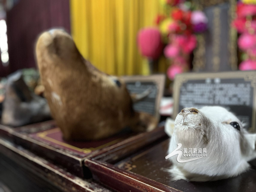 洪洞大槐树根祖文化广场效果图,山西推介洪洞大槐树根祖圣地