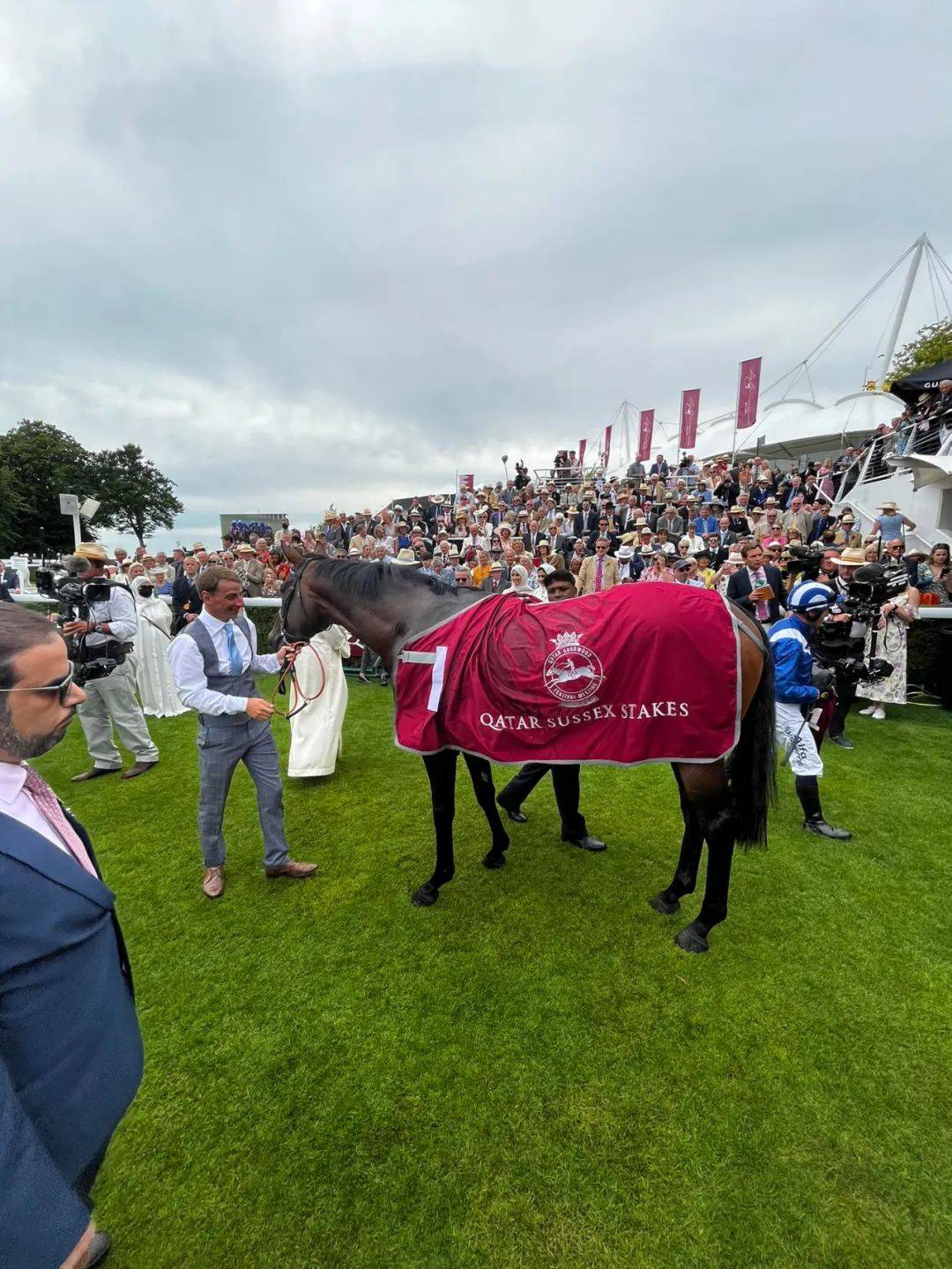 顶级马匹排名,世界排名前十的最强壮马匹