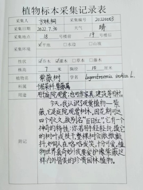 走进奇妙植物世界,植物科普走进校园