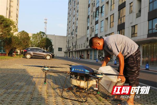 西湖：水岸惊现隐翅虫无人机助阵来灭除