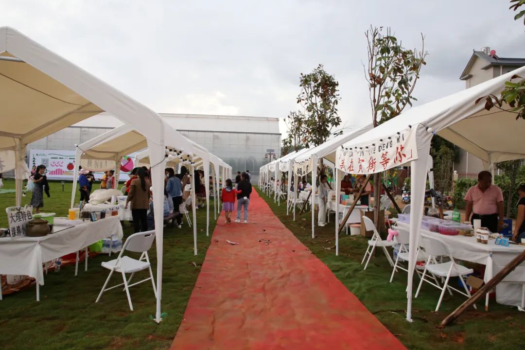 大理弥渡数字农业公园抖音团购,大理弥渡数字农业公园优惠