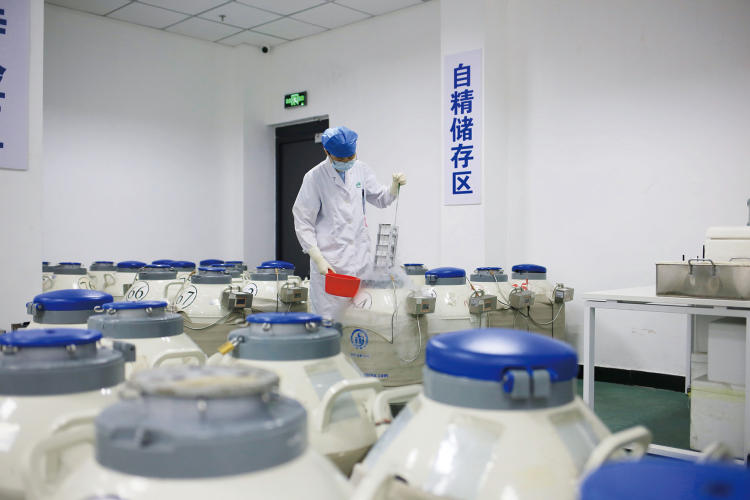 精子库人工授精纳入医保,弱精子症生育保险