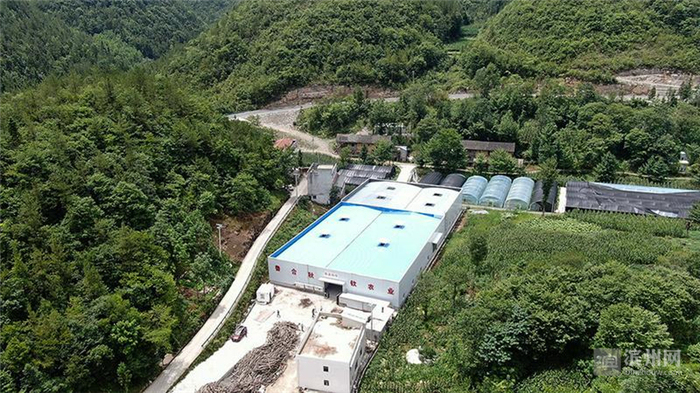 江河牵手爱洒奉节——“跨越山海‘舆’心灵相约”滨州采访团走进奉节采访活动掠影