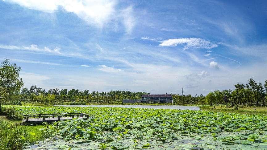奉贤海湾旅游区与海湾镇,奉贤海湾镇和海湾旅游区