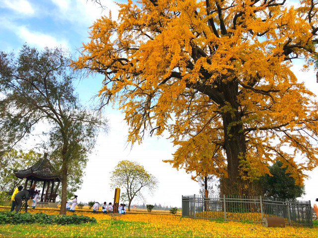 浙江有多少平原,浙江第四大城市嘉兴