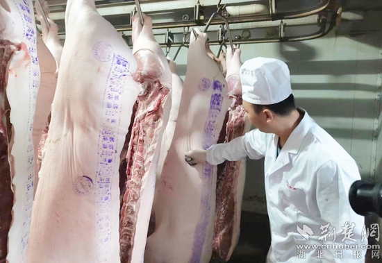 红安十佳创新创业人才周鹏,红安十佳青年创新创业人才