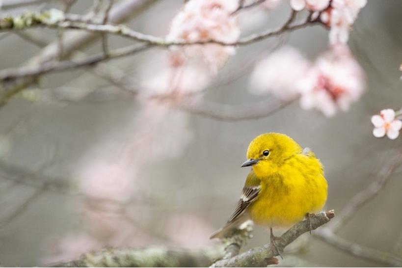 坊间历史,坊间传奇电视剧