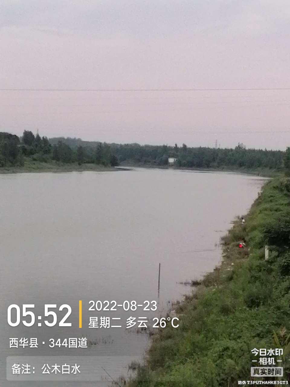 8月里面的鱼怎么钓,钓位选什么鱼最好