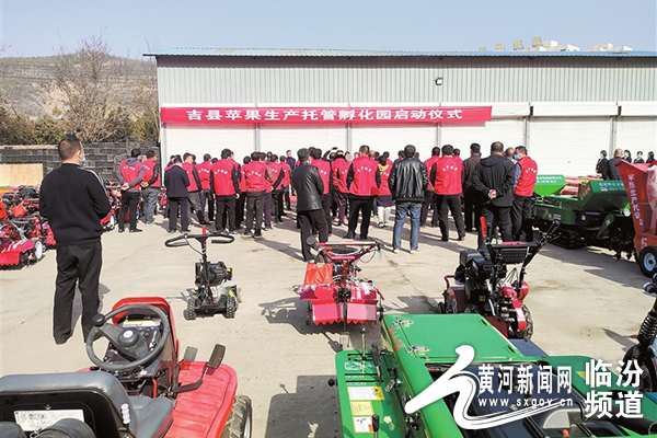 陕西吉县苹果,吉县苹果产业园