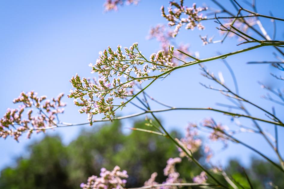 在九月要干什么工作好,九月最想做的事情