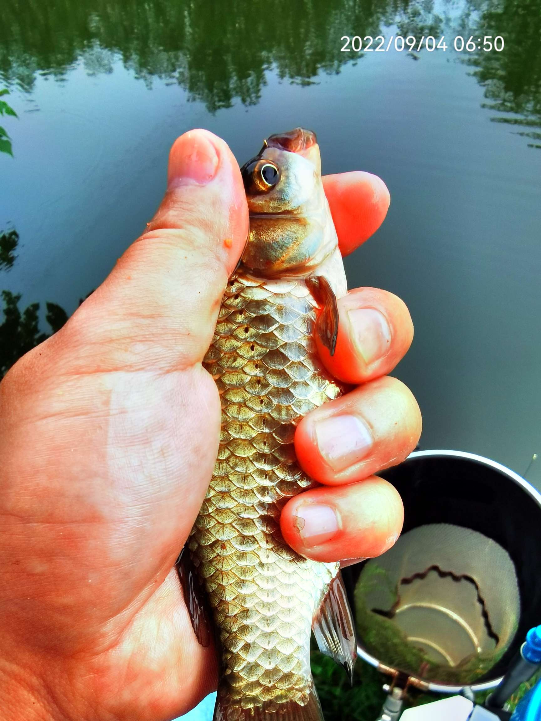 大叔百思不得其解！比起昨日鱼口太磨叽