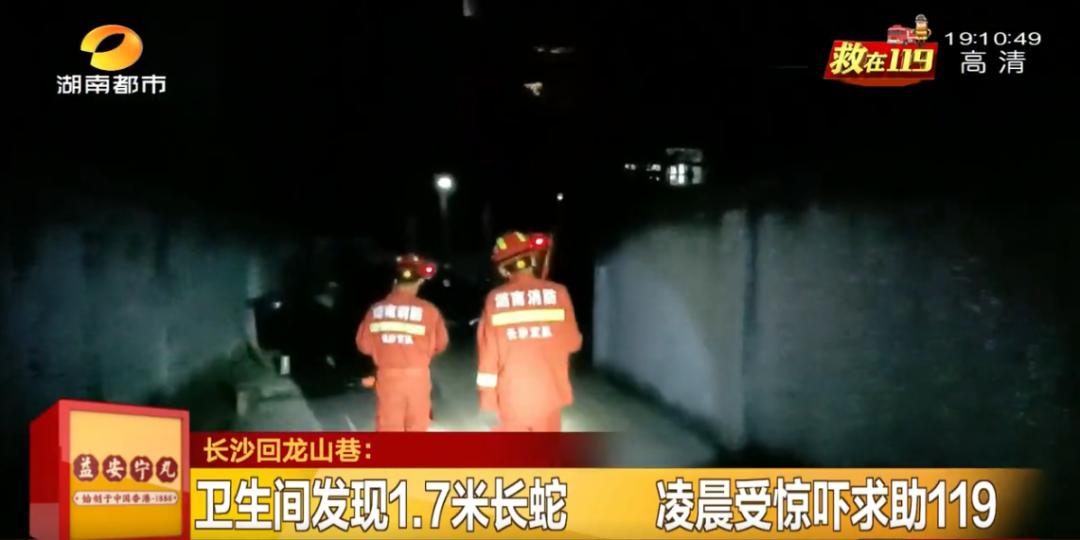 居民凌晨上厕所发现大蛇,凌晨上厕所发现卧室惊现2米大蛇