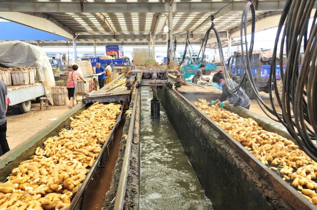 这才是好产品视频,这才是潍坊最好的奢侈品