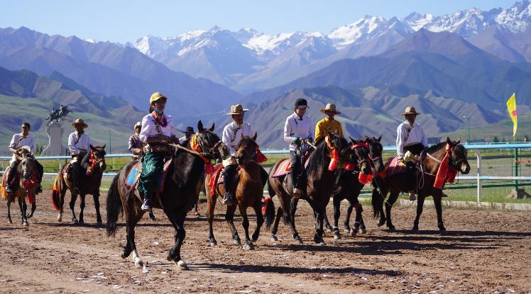 肃南赛马会现场直播,肃南裕固族自治县赛马
