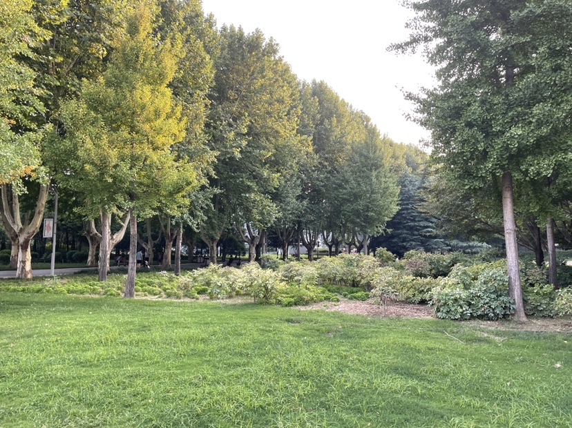 流水走漂的最佳解决方法,对付走水的妙招