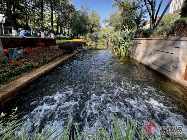 翠湖各名人旧址图片,昆明翠湖改造挖出文物是哪条街