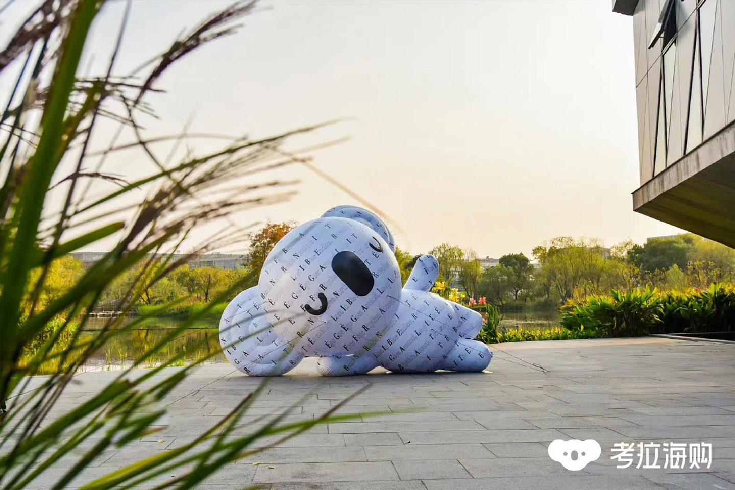 考拉正式搬进阿里园区,考拉最新情况