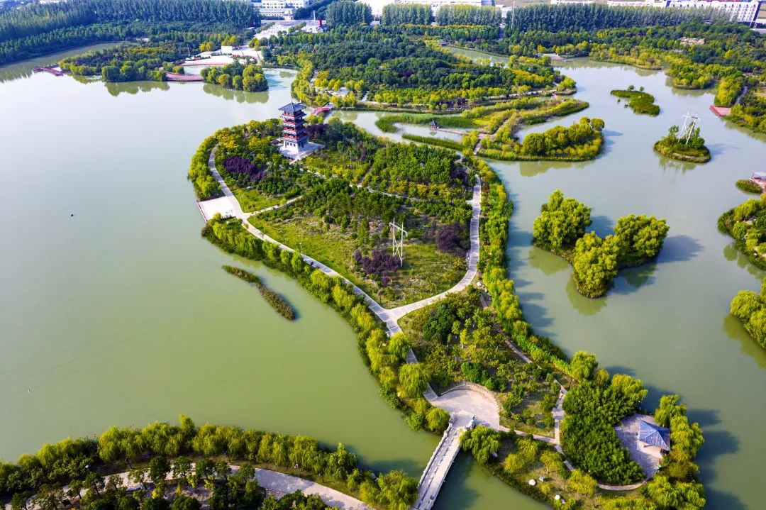 临颍最美千亩湖,临颍县千亩森林公园