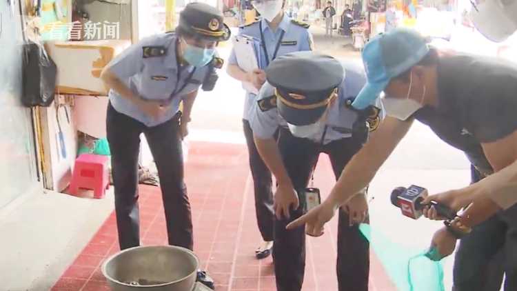 阳澄湖的大闸蟹会被日本影响吗,阳澄湖大闸蟹会有寄生虫吗