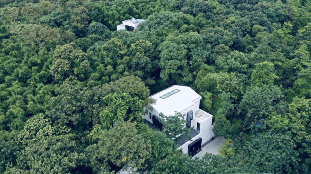 国庆广州天河好玩的地方推荐,广州天河打卡免费推荐