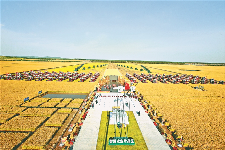 北大荒农业股份集成应用关键技术保护黑土地