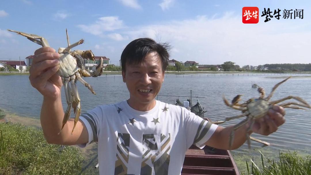 辛巴辛有志谈助农,辛巴辛有志助农视频