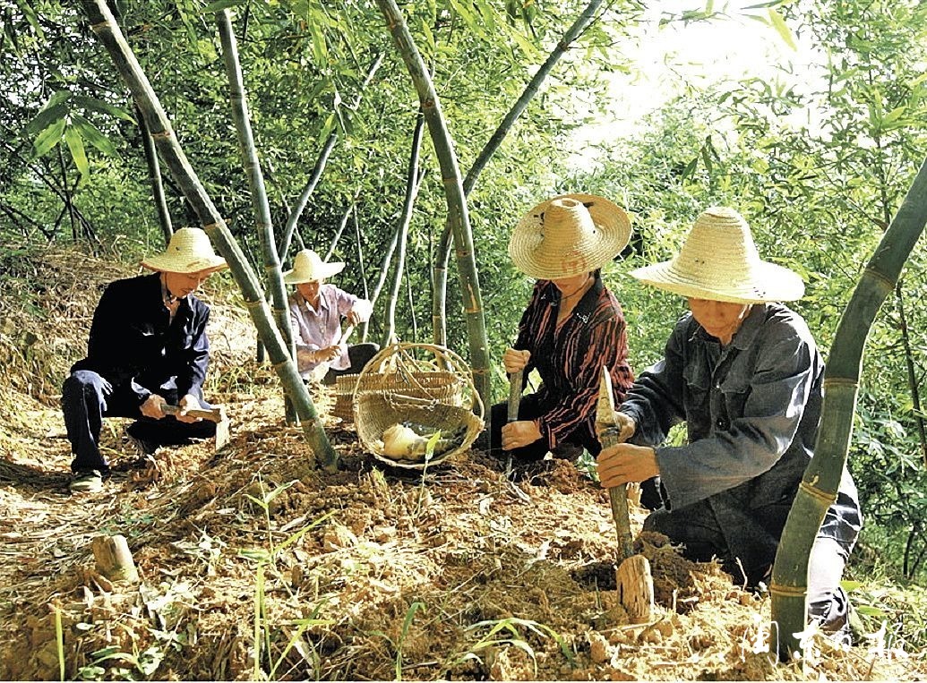 非凡十年飞跃新如皋,非凡十年黑龙江再踏新征程