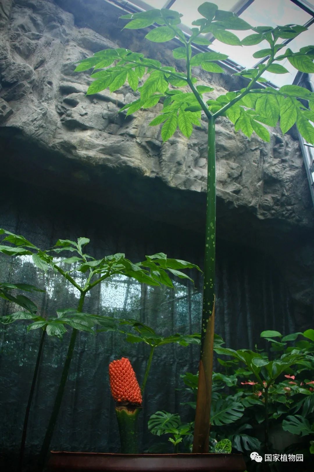 早新闻60秒,4岁孩童深夜打120救妈妈