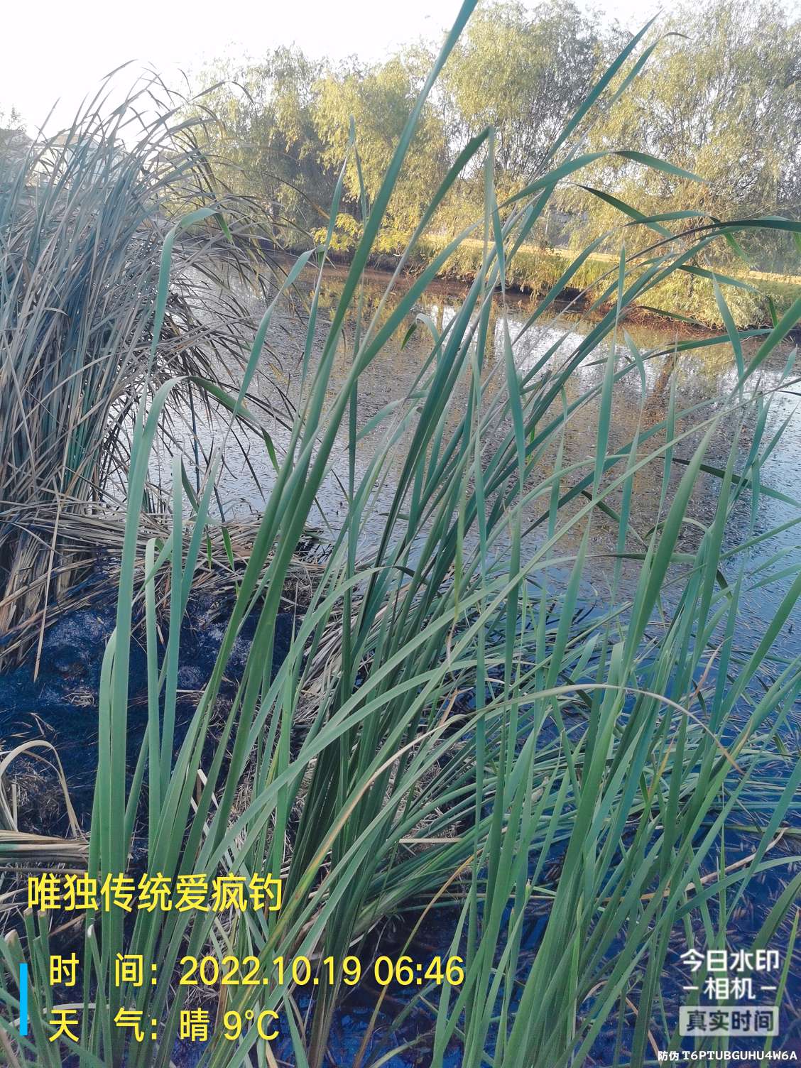 传统钓有风浪,传统钓线组如何应对风浪