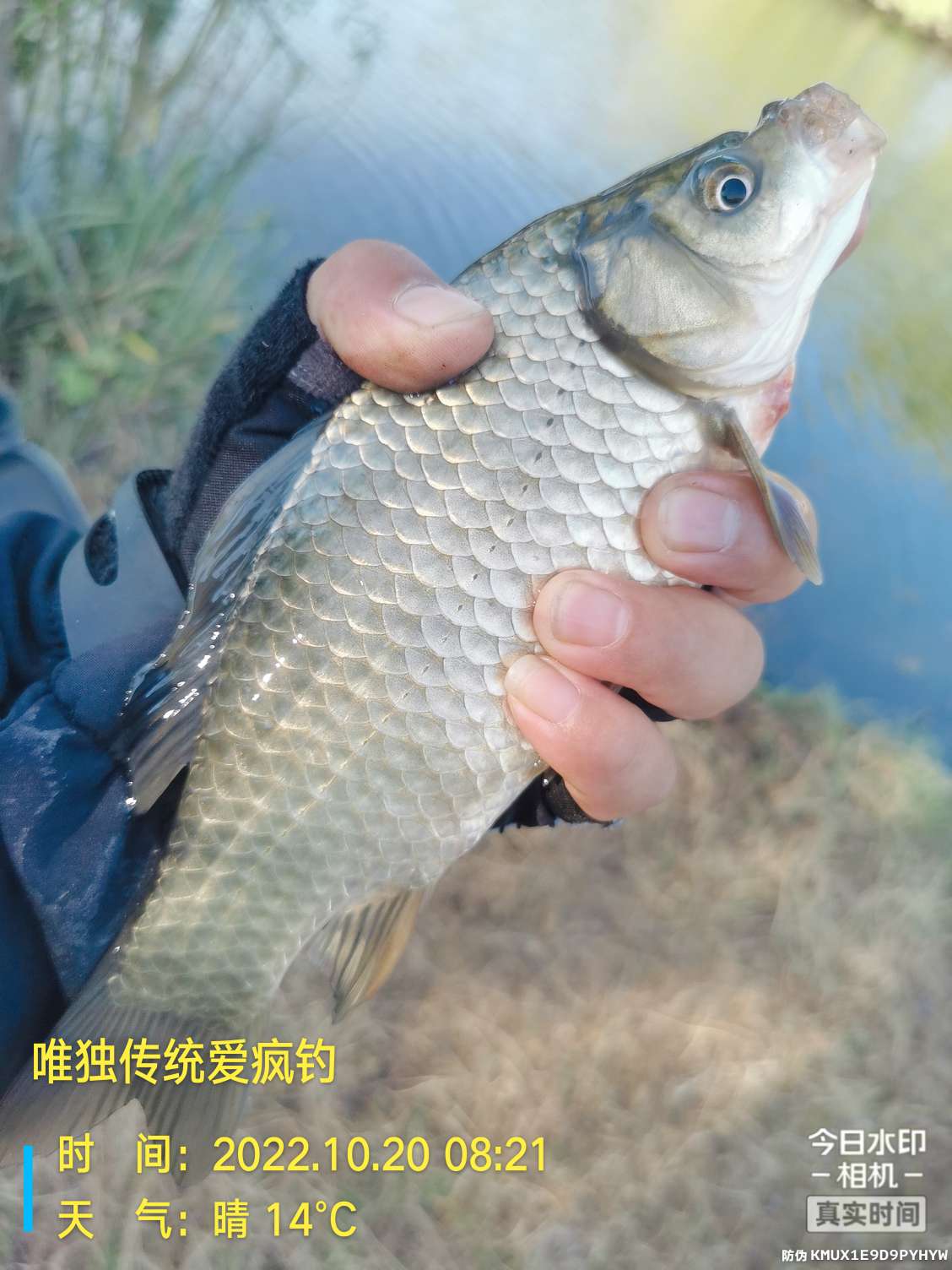 传统钓有风浪,传统钓线组如何应对风浪