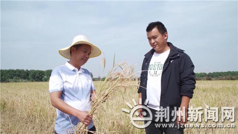 「就业创业在荆州」毛泽俊：虾稻共育“泥腿子”十年播撒田园芳香