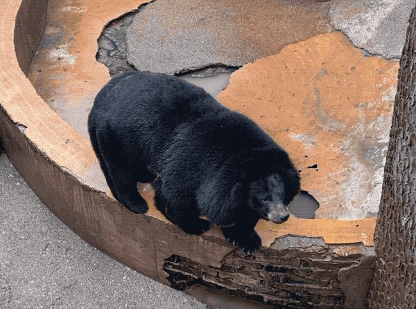 iphone14系列最值得入手的一款,双十一入手iphone14pro