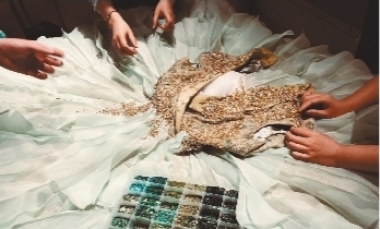 登上美国时装周的铁岭小伙,东北小伙子上纽约时装周