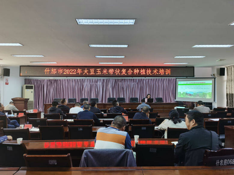 三新三促主题活动认识到什么,三深化三提升活动落实情况