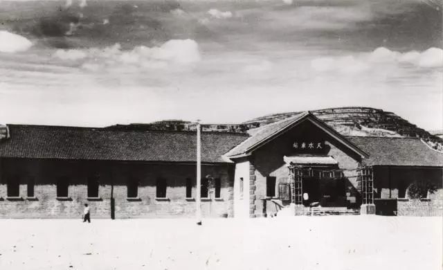 冯沙驼散文,冯沙驼简介