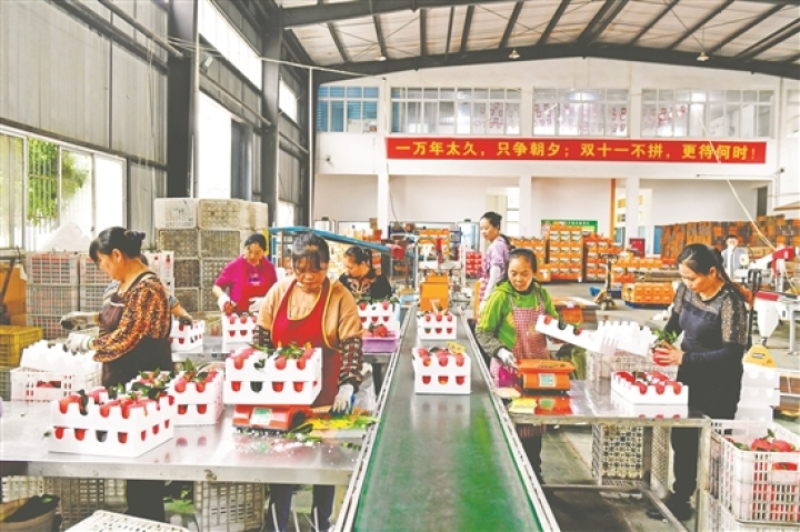 发展电商是经济发展必由之路,以政策引领电商经济发展