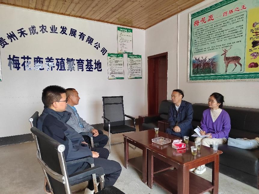 特色养殖种植项目实现致富,合作养殖鹿的模式