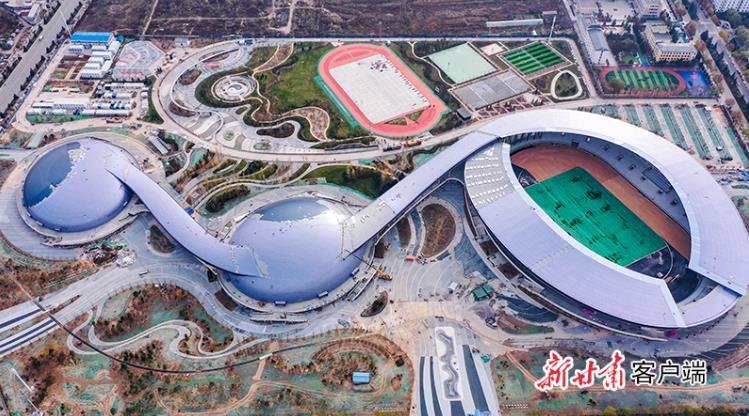 黑马跨栏一飞冲天,甘肃泾川县黑马