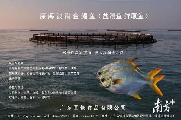 刘定：年鱼经济擦亮金鲳鱼名片，让消费者买得放心，吃得安心