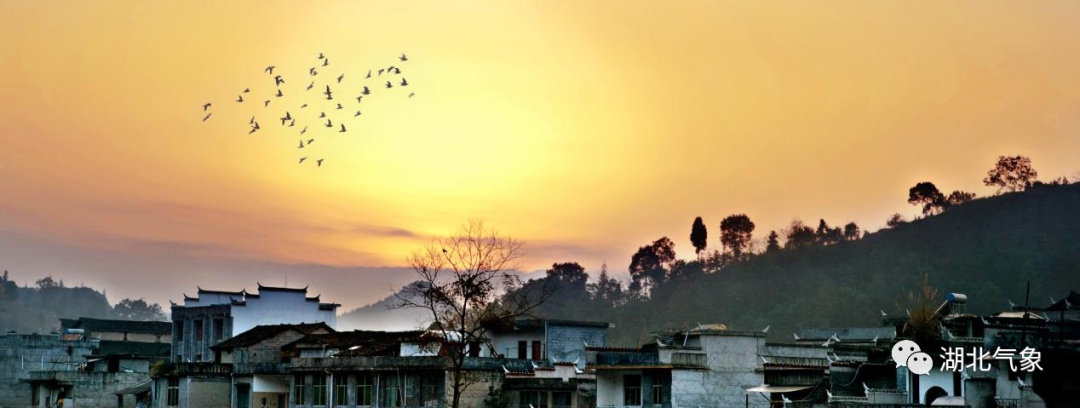 湖北襄阳天然氧吧,湖北哪些地方被评为天然氧吧