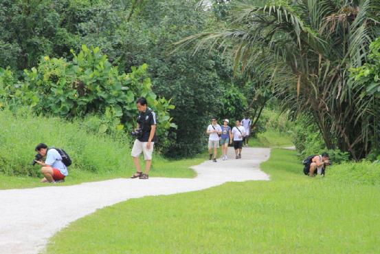 新加坡骑行攻略,新加坡适合骑行的地方