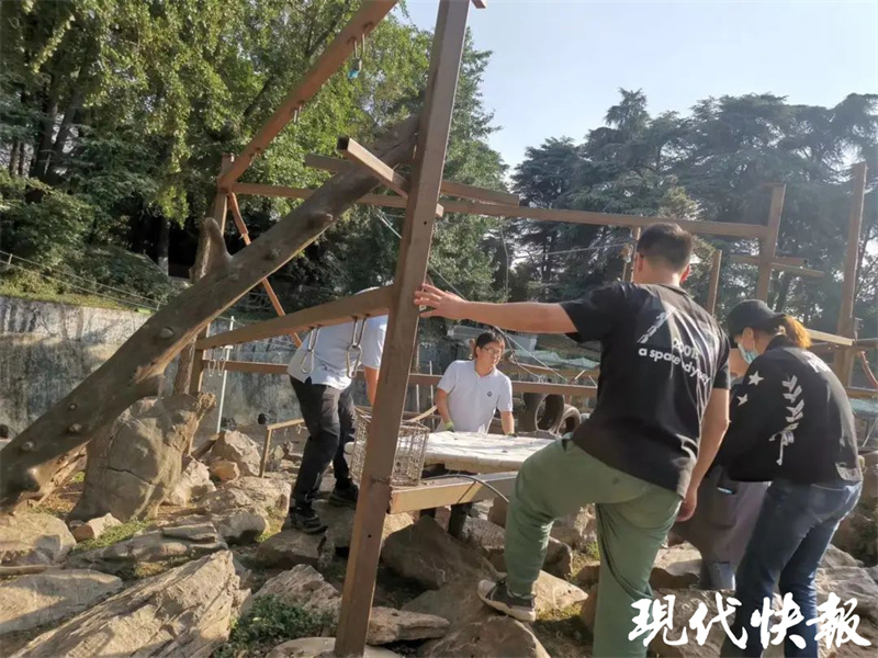 想和动物接触可以做哪些工作,想和动物天天在一起的职业