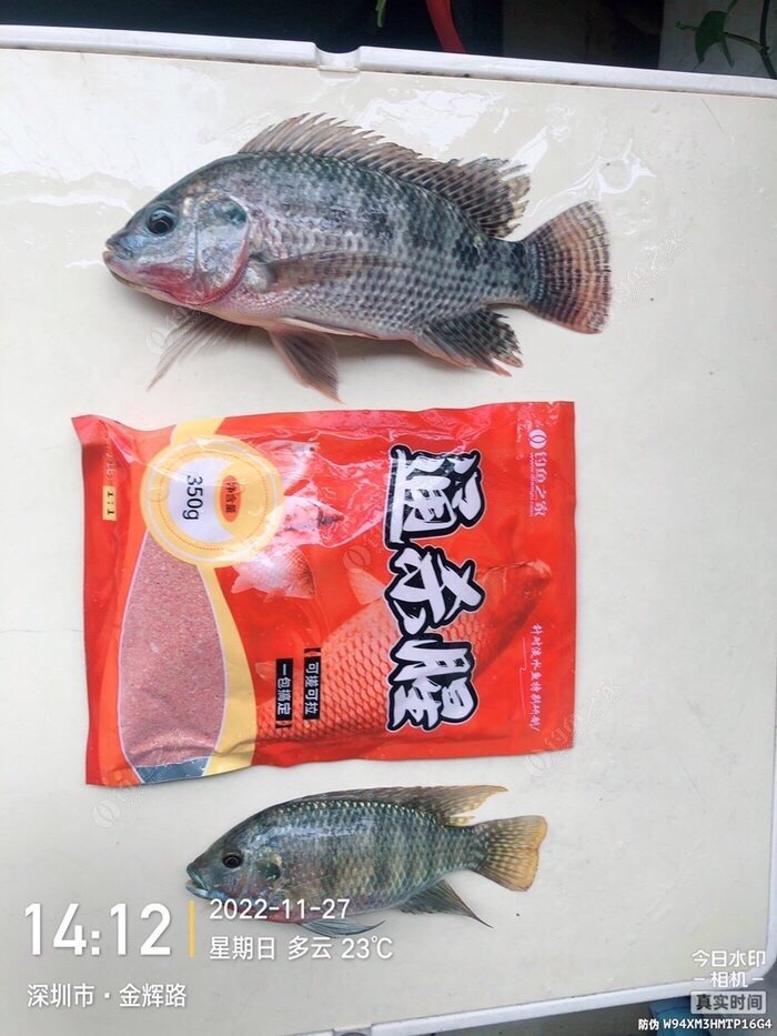 做个理性的人,初级钓鱼者怎么选择渔具