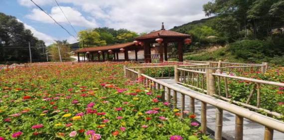 清水县杨李村,杨李村